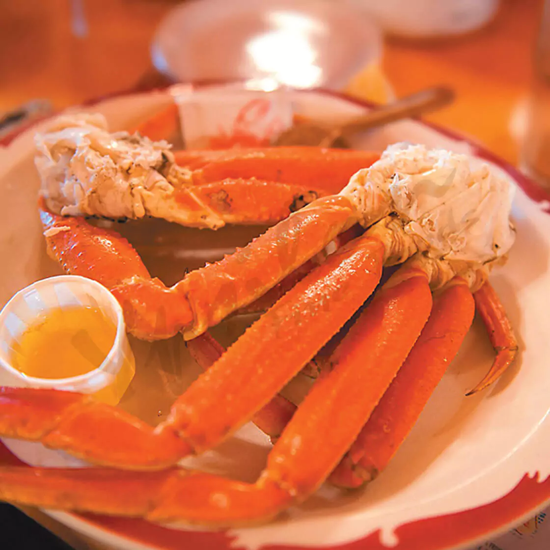 Snow Crab